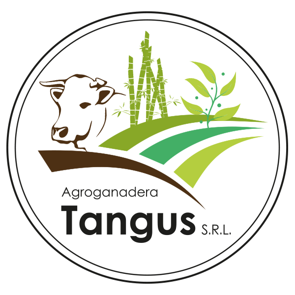 Tangus